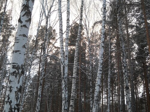 DSCN0116_r